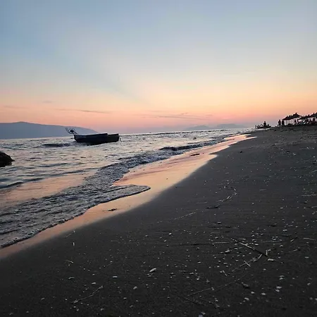 Licenji Vlorë